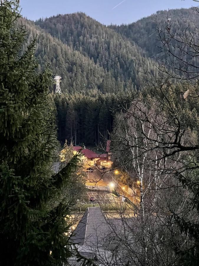 Vila Condor Poiana Brasov Exteriör bild