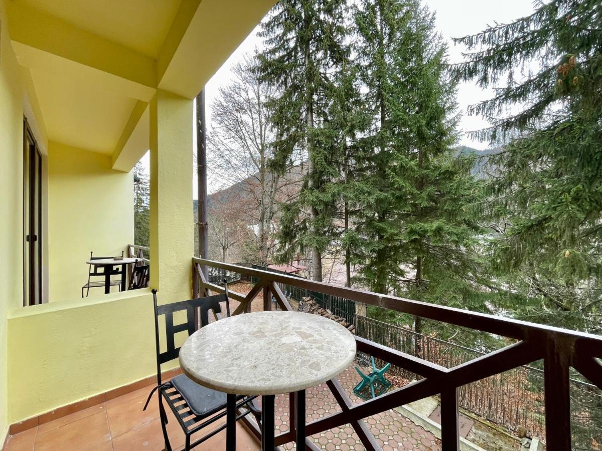 Vila Condor Poiana Brasov Exteriör bild