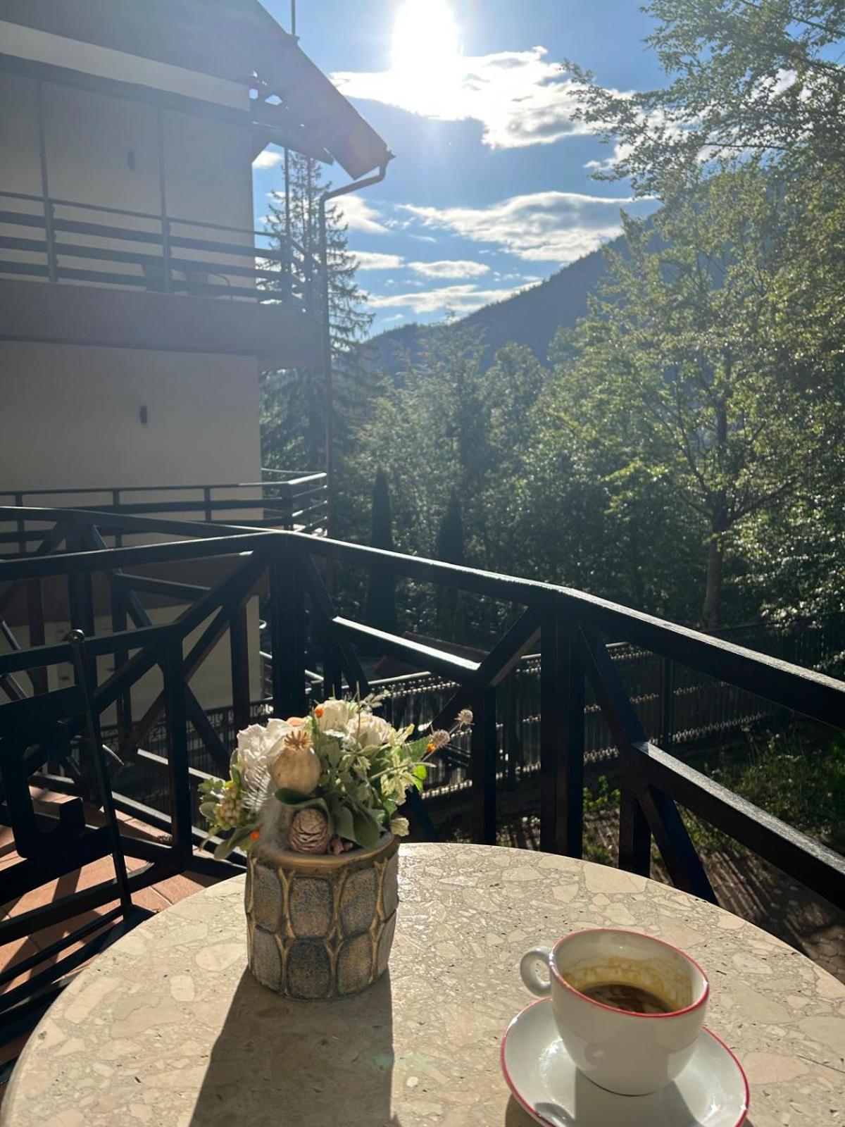 Vila Condor Poiana Brasov Exteriör bild