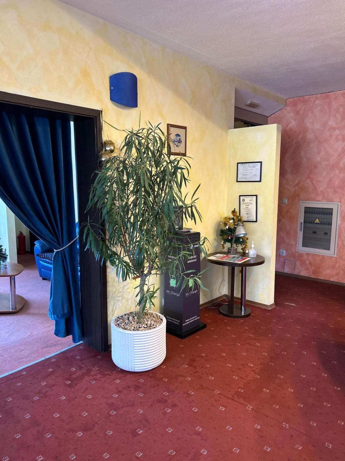 Vila Condor Poiana Brasov Exteriör bild